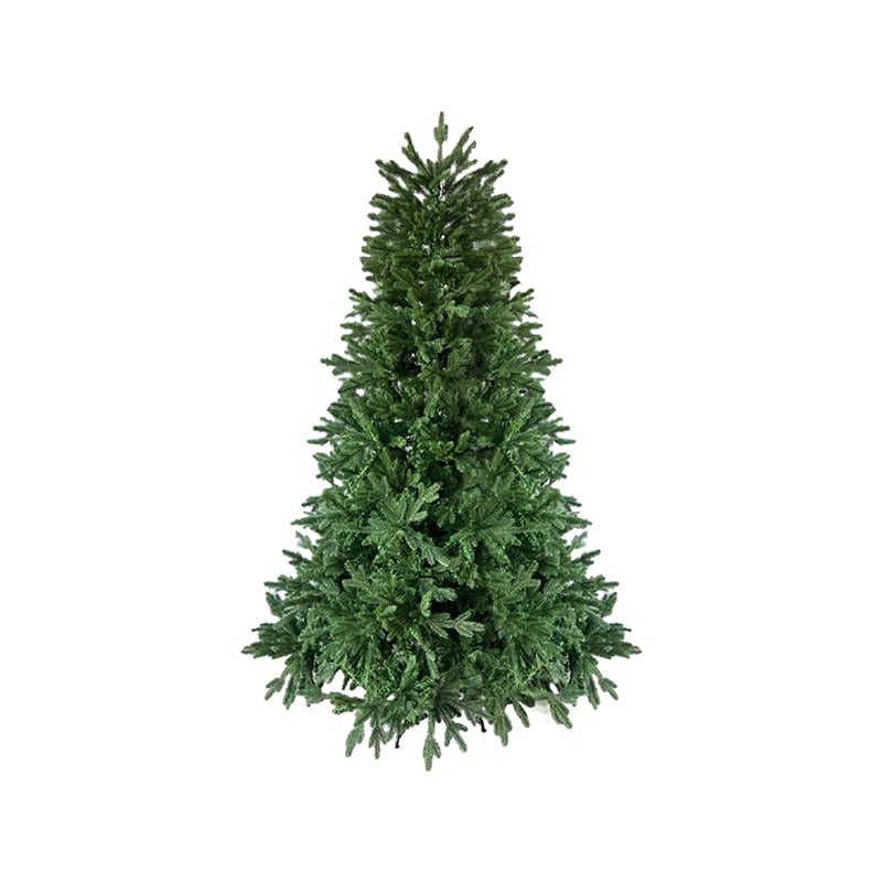 ნაძვის ხე 180 სმ-დან 240 სმ-მდე