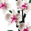 სათამაშო LEGO Icons Orchid 10311