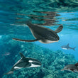 სათამაშო ზღვის ცხოველების ნაკრები Terra SEA LIFE ANIMALS AN6050DZ