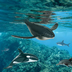სათამაშო ზღვის ცხოველების ნაკრები Terra SEA LIFE ANIMALS AN6050DZ