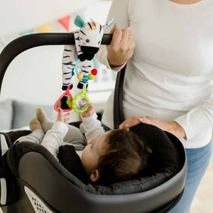 სათამაშო ზებრა Fehn Baby Bean bag zebra 049077