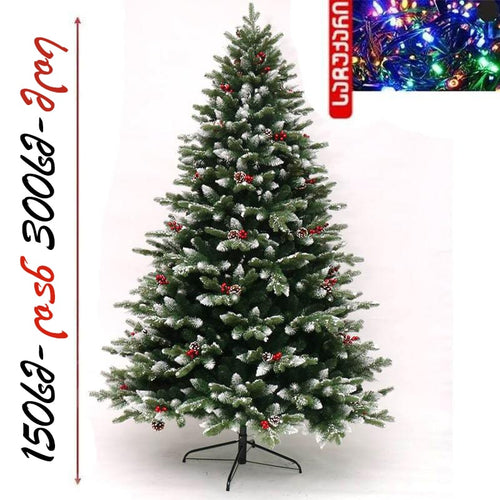 ნაძვის ხე დათოვლილი ბოლოებით, გრძელი გირჩით და კენკრით 150 სმ-დან 300 სმ-მდე SP14 Spoly