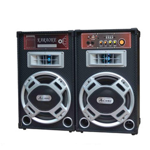 პროფესიონალური აკუსტიკური სისტემა AILIANG/OEM USBFM-198B-DT