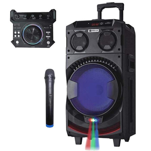 აკუსტიკური სისტემა აკუმულატორზე AILIANG/OEM UF-1031-DT