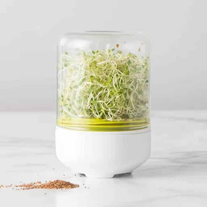 Sprouting Device Plant sprouting device PLASTIC BEAN SPROUT GROWING MACHINE UCO – ყიდვა ...