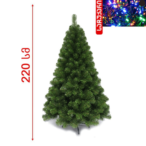 ნაძვის ხე 210 სმ Spoly