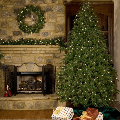 ნაძვის ხე - კანადური სტილის მწვანე შერეული წიწვებით 150 სმ-დან 300 სმ-მდე SP42 Spoly