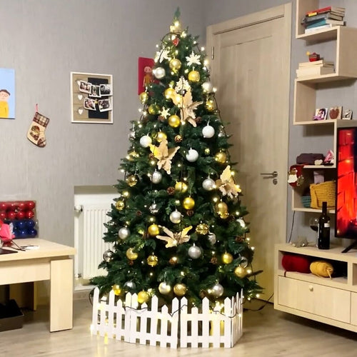 პოლონური ნაძვის ხე გირჩებით Joanna 150-დან 270 სმ-მდე