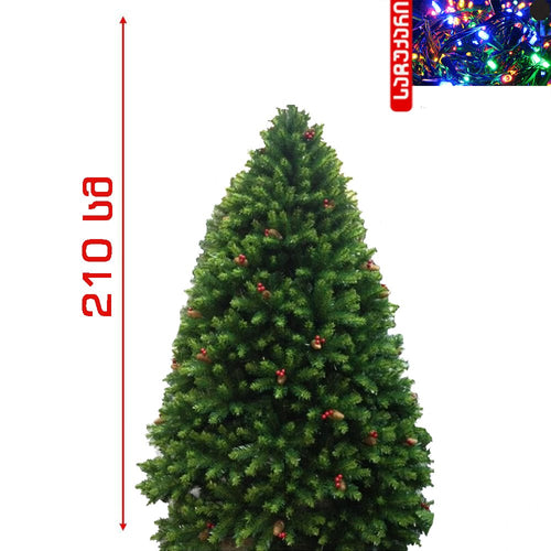 ნაძვის ხე 210 სმ - მწვანე, კენკრით და გირჩით Spoly